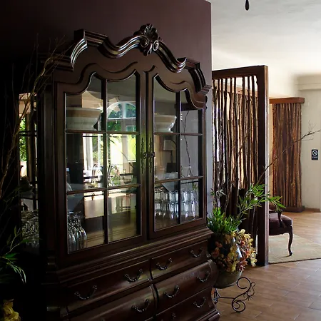 Hotel Villa Therese-3